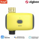 HAOZEE - Zigbee Irrigation Timer Tuya Smart Life HZ-WT03