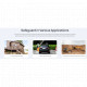 MILESIGHT - Capteur d'inclinaison Lorawan