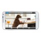 BELKIN - Caméra IP WiFi NetCam HD